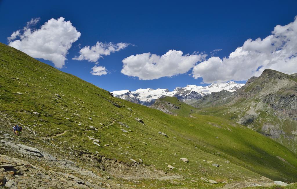 Le Coin Des Melezes - Nature & Trek - Camere In Baita Di Montagna بروسون المظهر الخارجي الصورة
