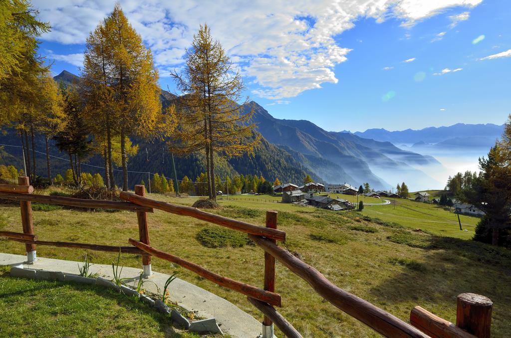 Le Coin Des Melezes - Nature & Trek - Camere In Baita Di Montagna بروسون المظهر الخارجي الصورة