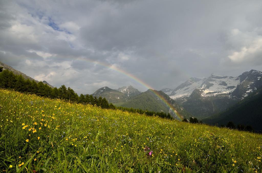 Le Coin Des Melezes - Nature & Trek - Camere In Baita Di Montagna بروسون المظهر الخارجي الصورة