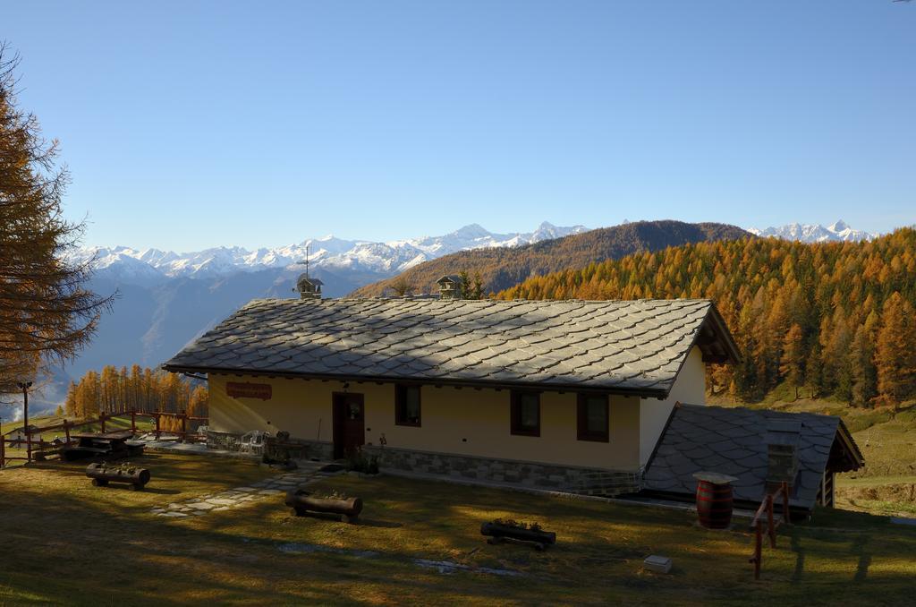 Le Coin Des Melezes - Nature & Trek - Camere In Baita Di Montagna بروسون المظهر الخارجي الصورة