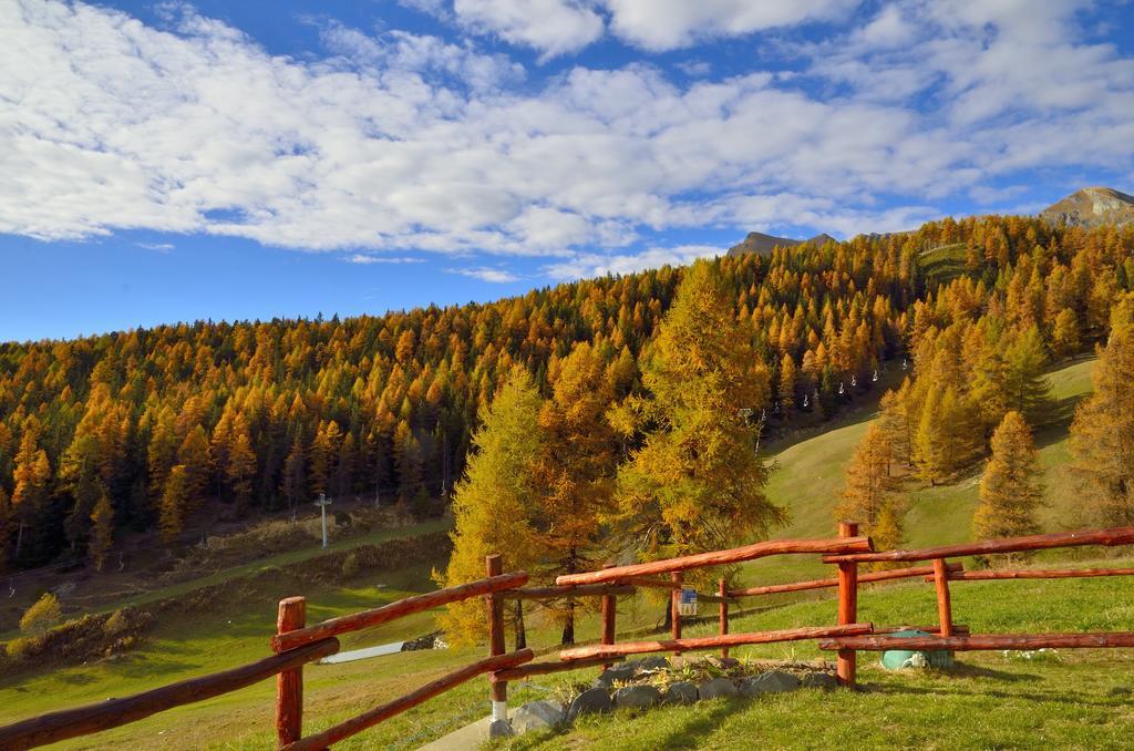 Le Coin Des Melezes - Nature & Trek - Camere In Baita Di Montagna بروسون المظهر الخارجي الصورة