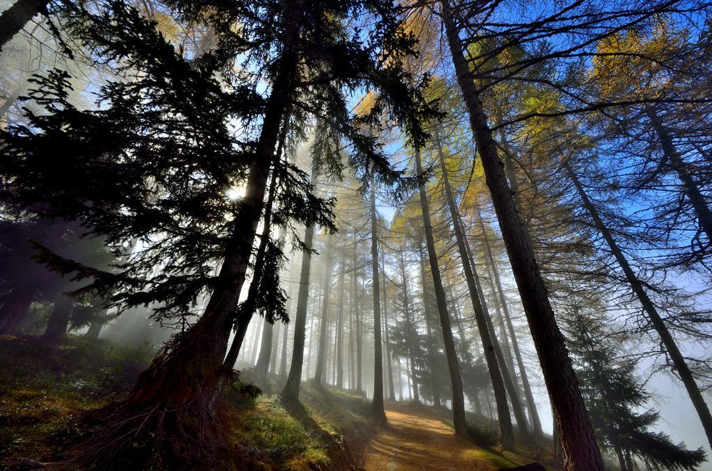 Le Coin Des Melezes - Nature & Trek - Camere In Baita Di Montagna بروسون المظهر الخارجي الصورة