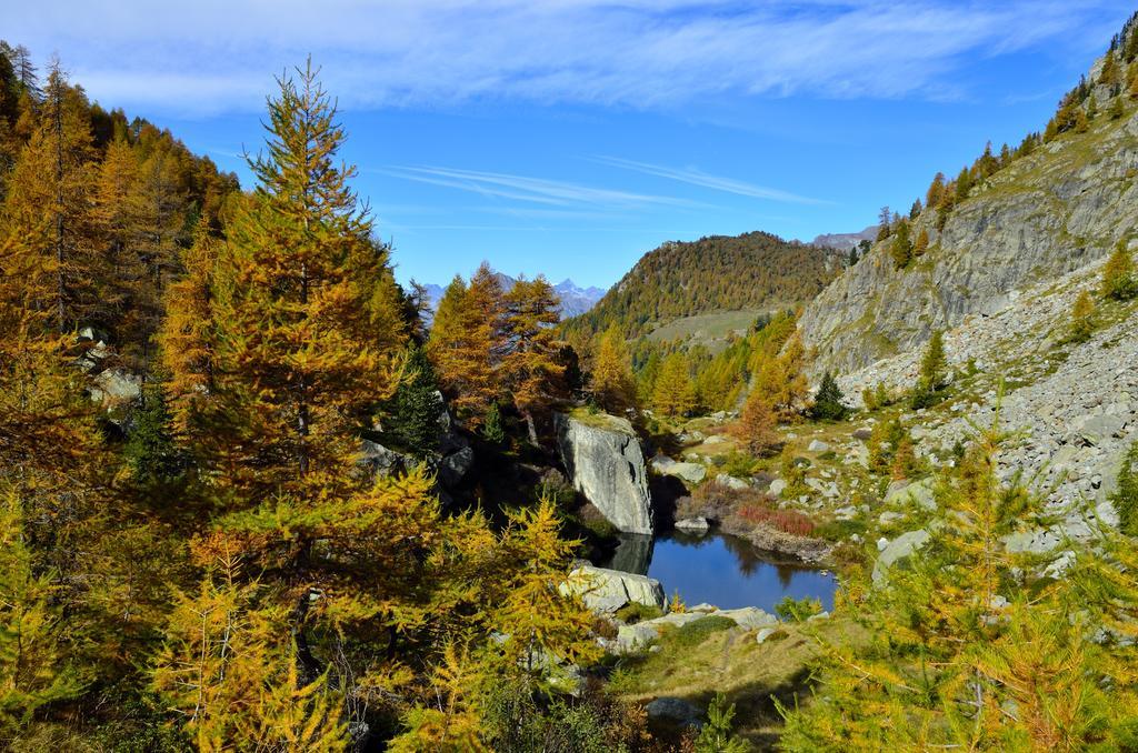 Le Coin Des Melezes - Nature & Trek - Camere In Baita Di Montagna بروسون المظهر الخارجي الصورة