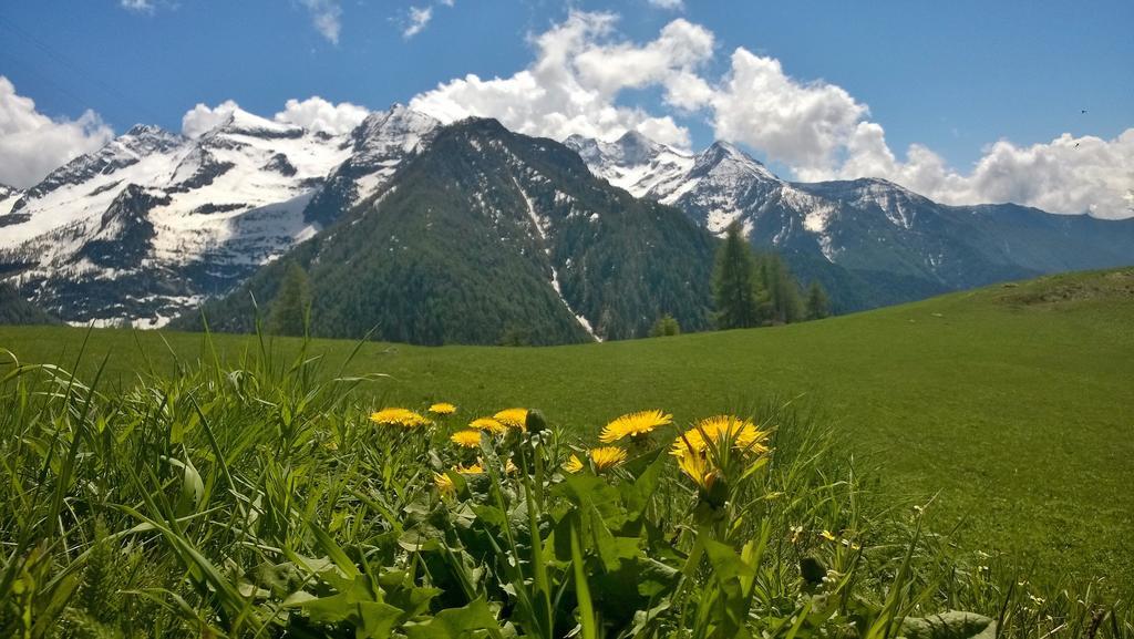 Le Coin Des Melezes - Nature & Trek - Camere In Baita Di Montagna بروسون المظهر الخارجي الصورة